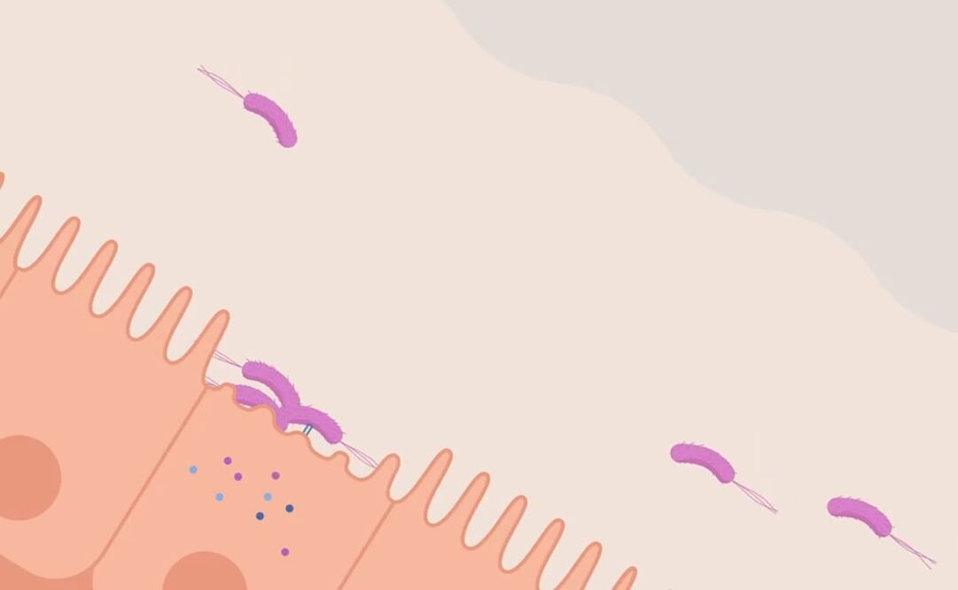 Foto: Captura YouTube Imperial College London