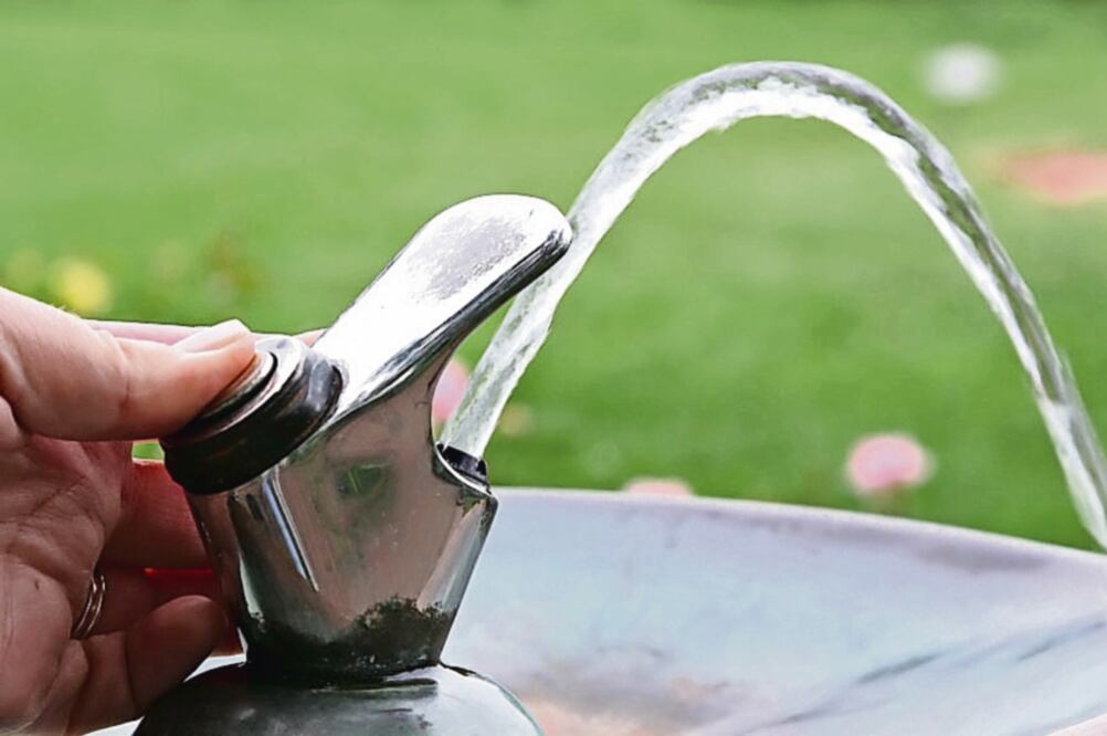 De acuerdo con el sistema de bebederos, las empresas que participan en el proyecto deben dar mantenimiento por lo menos durante dos años (ARCHIVO EL UNIVERSAL)