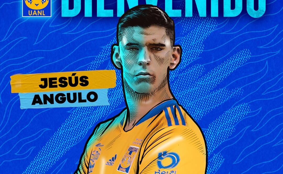 FOTO: Twitter:@TigresOficial