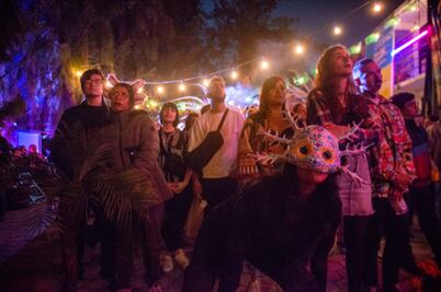 Así será La Noche del Axolotl en el Museo del Axolote