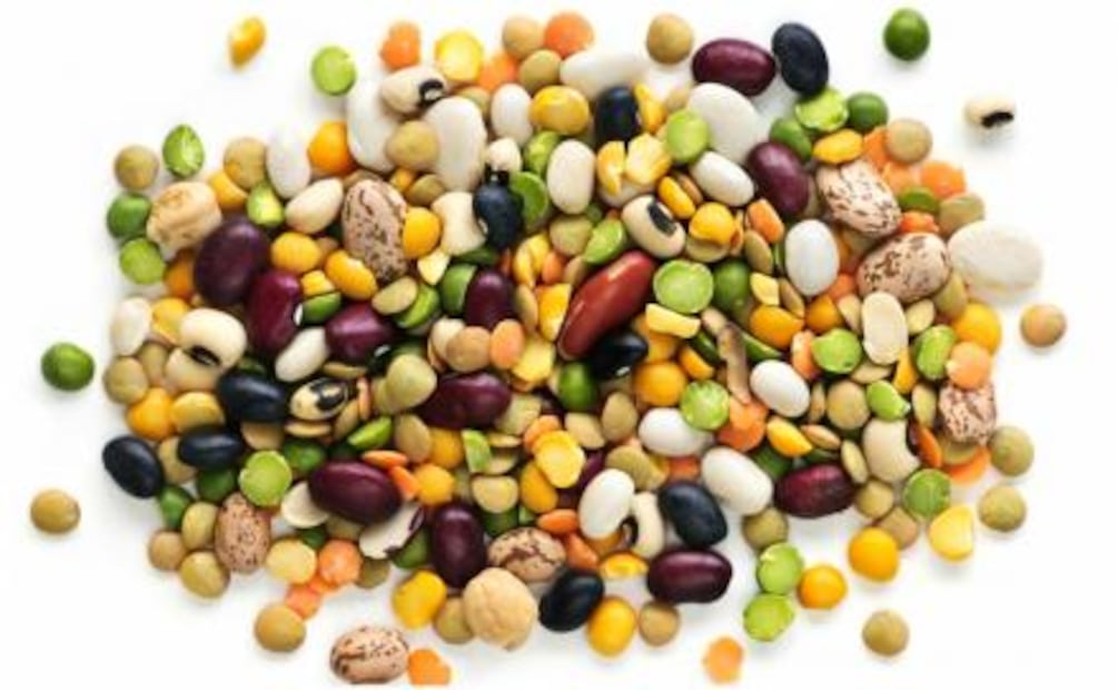 ¿Qué son los antinutrientes?