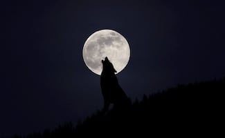 Superluna de Lobo: ¿cuándo ver la primera Luna llena del 2026?
