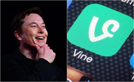 ¿La vuelta del video corto en Twitter? Elon Musk propone regreso de "Vine"