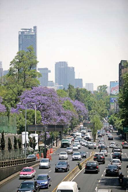 Pese a las medidas adoptadas, en algunas calles y avenidas el tránsito fue intenso y se registraron altos niveles de contaminación (IVÁN STEPHES. EL UNIVERSAL)