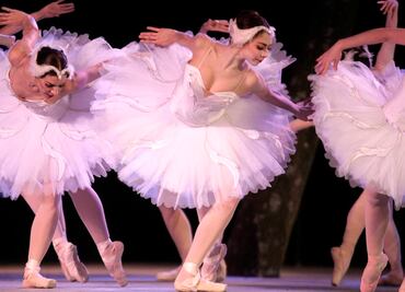'El lago de los cisnes' vuela a Bellas Artes
