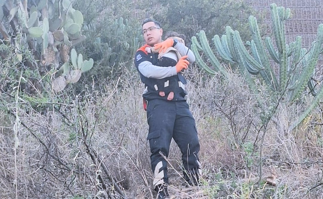 Bebé de 11 meses sobrevive a una volcadura en Guanajuato; su padre murió. Foto: Especial