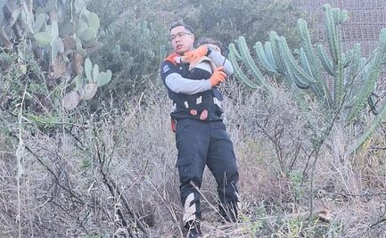 Bebé de 11 meses sobrevive a una volcadura en Guanajuato; su padre murió