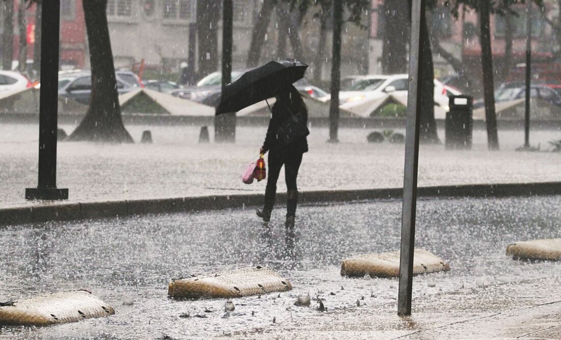 (Fotografía: Archivo )