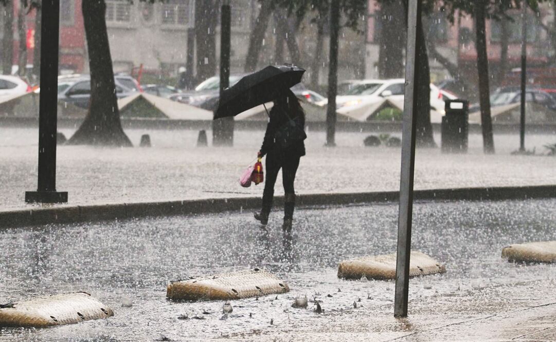 (Fotografía: Archivo )