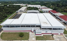 Pobladores bloquean planta productora de moscas del gusano barrenador en Chiapas; genera fetidez en el ambiente, aseguran