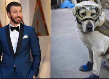 "Capitán América" declara su amor a Frida