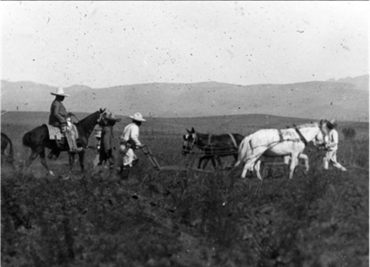 “La agricultura es la vida de muchos pueblos, y en México la tenemos abandonada…”: 100 años de la entrevista a Villa (parte 6 de 7)