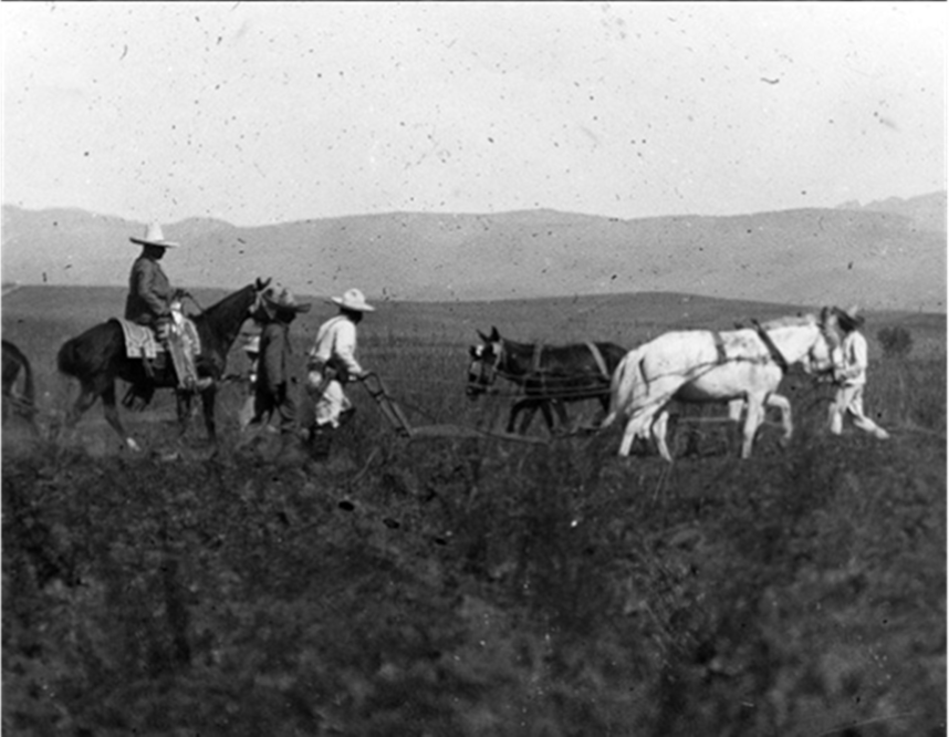 “La agricultura es la vida de muchos pueblos, y en México la tenemos abandonada…”: 100 años de la entrevista a Villa (parte 6)