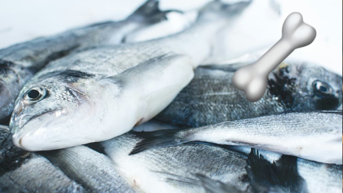 Pescado | Fuente: Producción EU