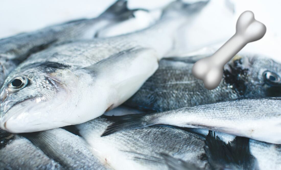 Pescado | Fuente: Producción EU