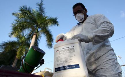 OMS convocará a comité de emergencia por Zika