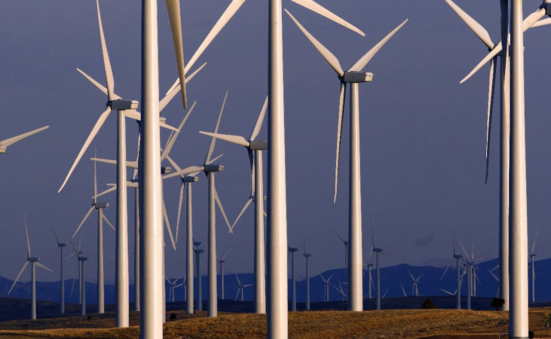 European countries and Canada have voiced their concern over the new energy policies - Photo: Matt Young/AP