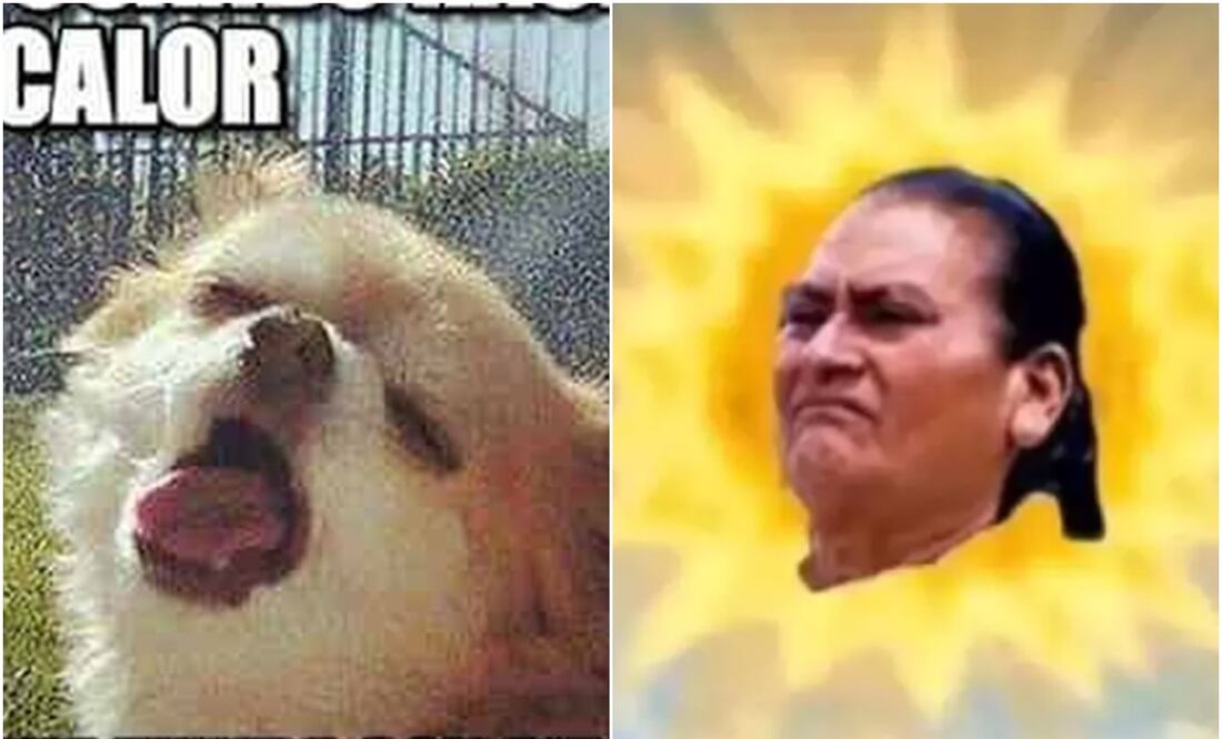 Memes por las altas temperaturas en México. Fotos: Redes Sociales
