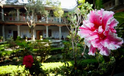 El Franz Mayer permanece cerrado tras sismo