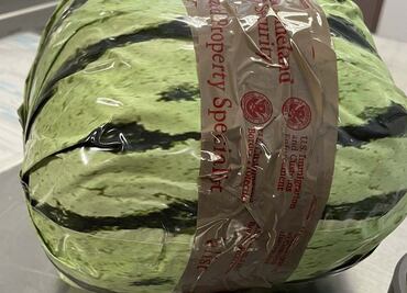 EU incauta metanfetamina "disfrazada" de sandía en cruce fronterizo con México