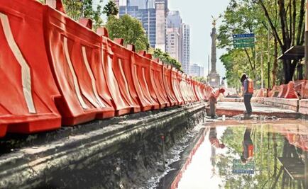 Árboles y monumentos, origen del conflicto