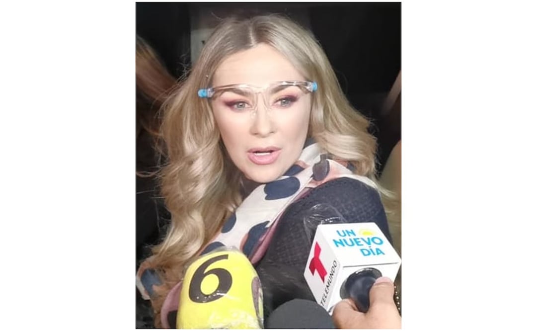 Aracely Arámbula. Foto: Captura de pantalla
