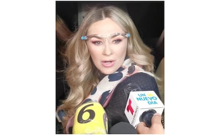 Aracely Arámbula asiste a la Basílica y pide a la Virgen por los enfermos de Covid