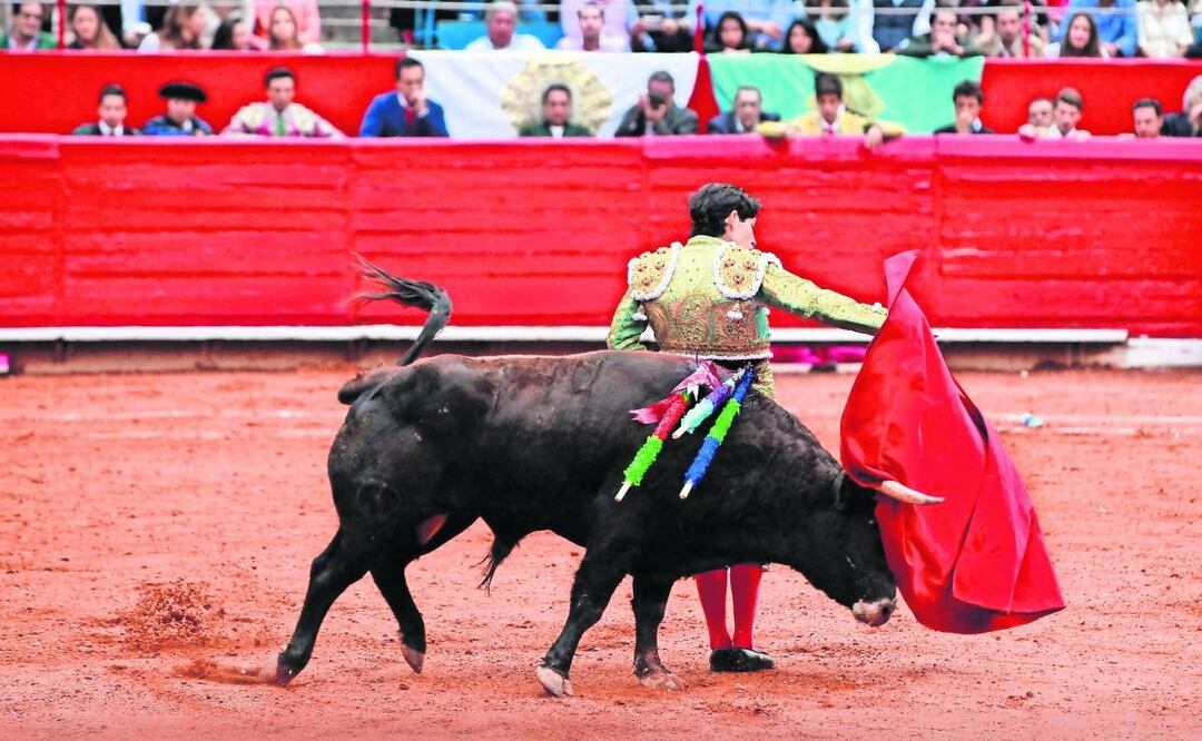 Acusan el no respeto a la vida animal. Foto: Archivo El Universal