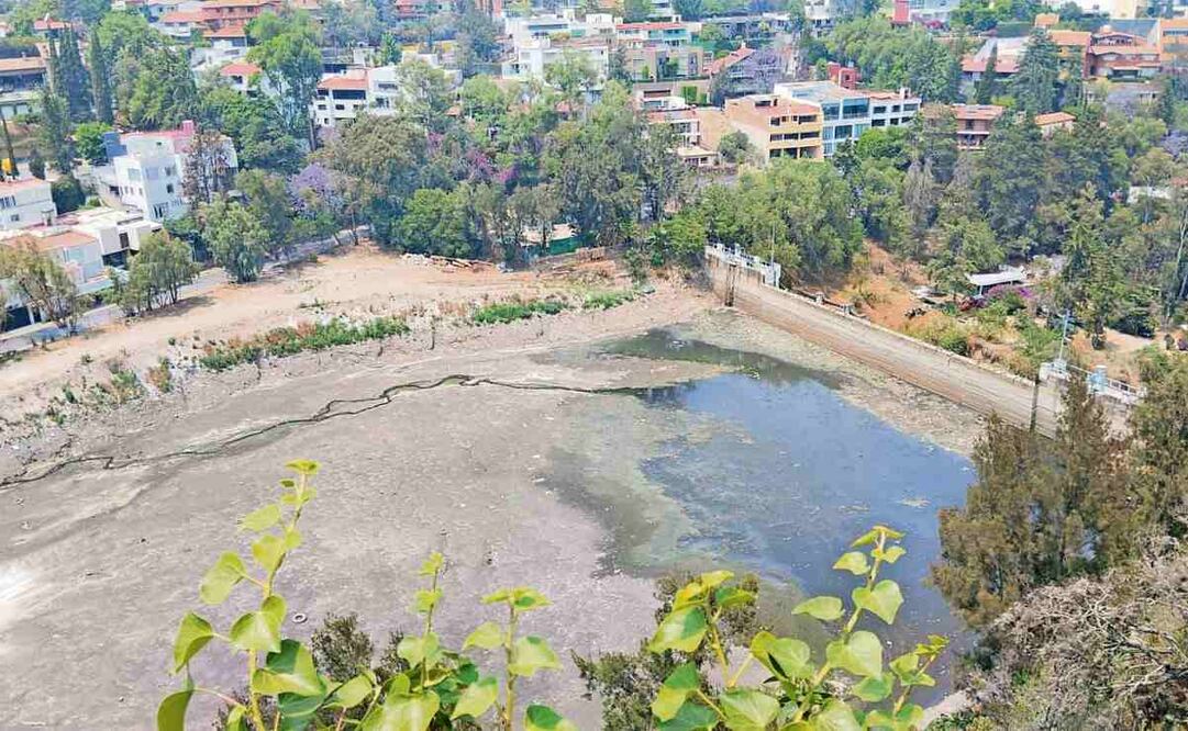 Habitantes denuncian que hay una emergencia sanitaria y ambiental provocada por las aguas negras que llegan a la presa. Foto: Especial