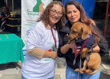 Celebra PAOT 5 aniversario de su plataforma AdoptaCDMX; han logrado colocar en una familia a más de mil 800 lomitos y gatitos