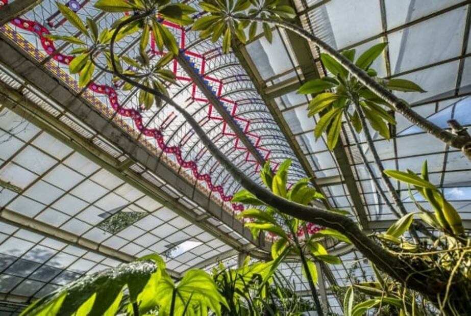 El Pabellón contemporáneo se ubicará en el orquidario del Jardín Botánico