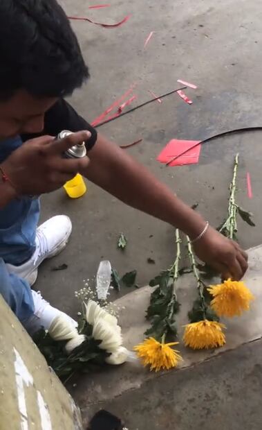 Al estilo de la reina roja, pero de amarillo: hombre cambia de color las flores. Foto: Captura de pantalla tomada de X @AlcaldeNetito