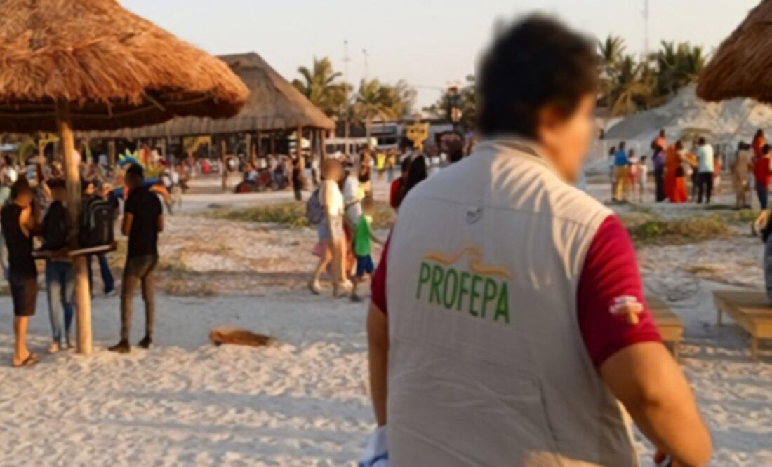 Profepa realizó 31 clausuras y 7 aseguramientos en Semana Santa. Foto: Especial