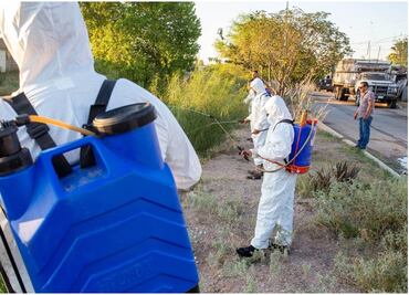 Detectan más de 100 casos de dengue en Chihuahua; el municipio Delicias registra mayores contagios