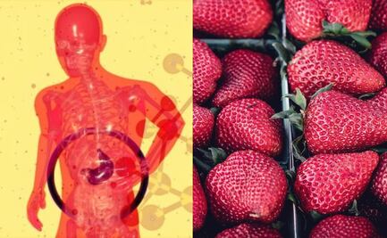 ¿Cuáles son los síntomas que podrían experimentar los intoxicados por consumo de fresas contaminadas con hepatitis “A”? 