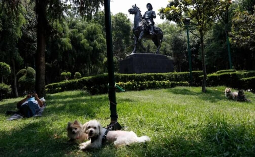 Estos son los mejores parques para perros en CDMX y Zona Metropolitana