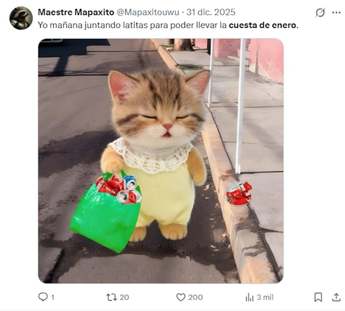 Usuarios en redes comparten memes para bajar la tensión ocasionada por la cuesta de enero 2026. Foto: Captura de pantalla