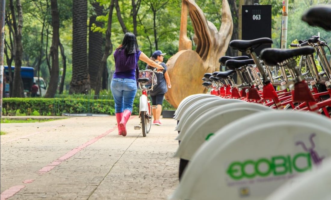 Imagen ilustrativa. Foto: EL UNIVERSAL