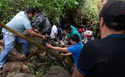 Suman 6 muertos por desbordamiento en Peribán; entre ellos, una niña