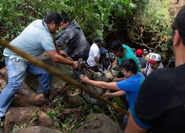 Suman 6 muertos por desbordamiento en Peribán; entre ellos, una niña