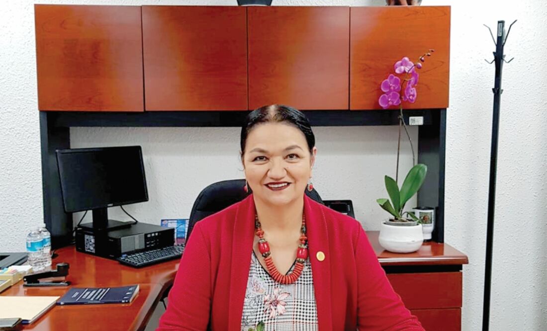 Consejera del PRI pide posponer Asamblea Nacional en Yucatán. Foto: especial