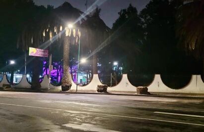 Sedema inicia sustitución de 18 palmeras en Coyoacán