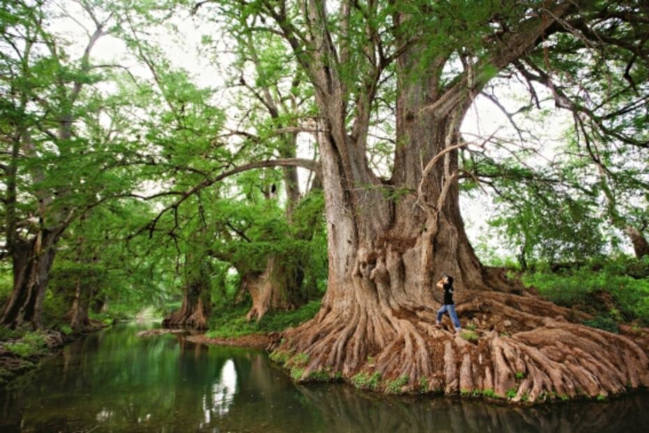 Querétaro: Peña de Bernal, viñedos y más atractivos cierran por Covid-19