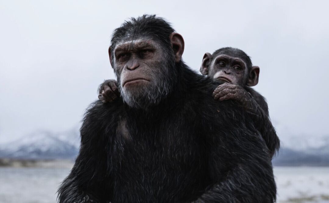 El planeta de los simios: La guerra. Fuente: Netflix