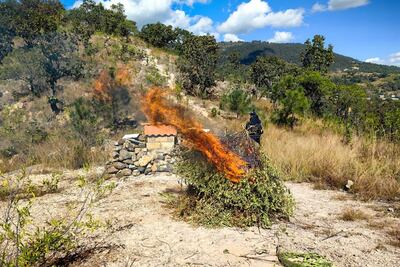 SS Edomex y Sedena destruyen presuntas bases de “halconeo” de La Familia Michoacana