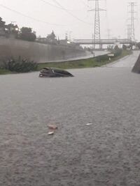 Tormenta deja casas inundadas y autos atrapados en Atizapán de Zaragoza y Cuautitlán Izcalli