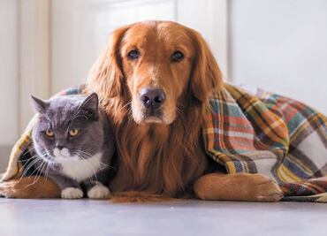 ¿A qué hora hará más frío en la CDMX y Edomex?