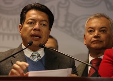 Guardia Nacional no vendrá etiquetada en el PEF 2019: Delgado