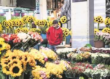 La venta de flores se niega a marchitarse