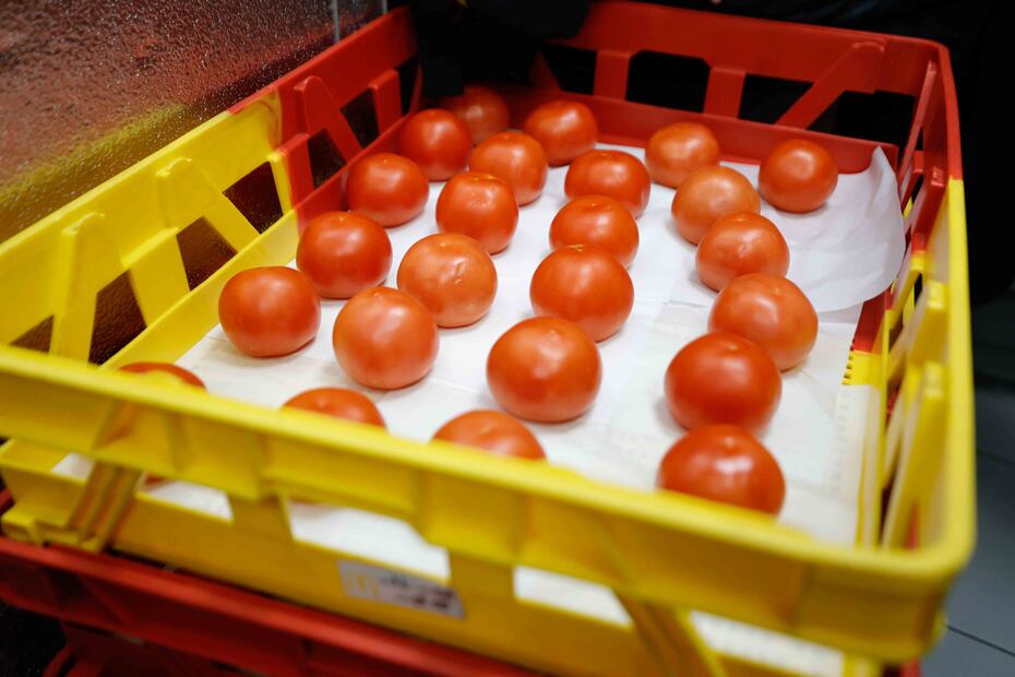 Foto: Fernanda Rojas / El Universal